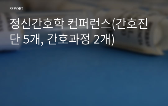 정신간호학 컨퍼런스(간호진단 5개, 간호과정 2개)