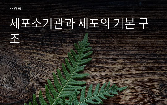 세포소기관과 세포의 기본 구조