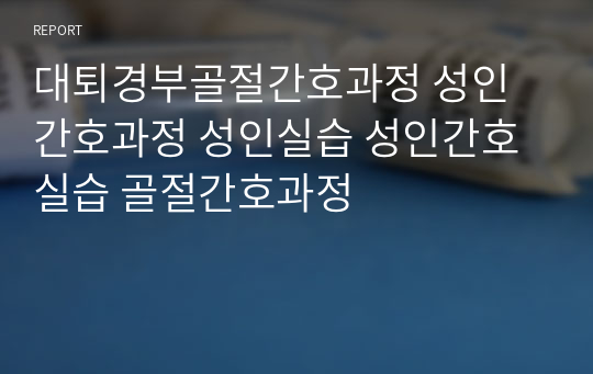 대퇴경부골절간호과정 성인간호과정 성인실습 성인간호실습 골절간호과정