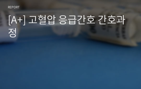 [A+] 고혈압 응급간호 간호과정