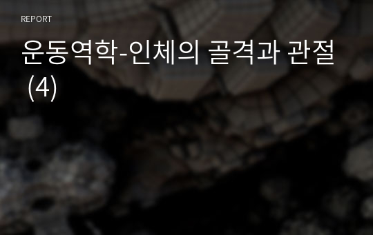 운동역학-인체의 골격과 관절 (4)