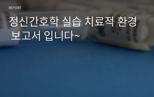 정신간호학 실습 치료적 환경 보고서 입니다~