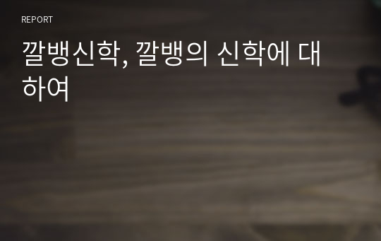 깔뱅신학, 깔뱅의 신학에 대하여