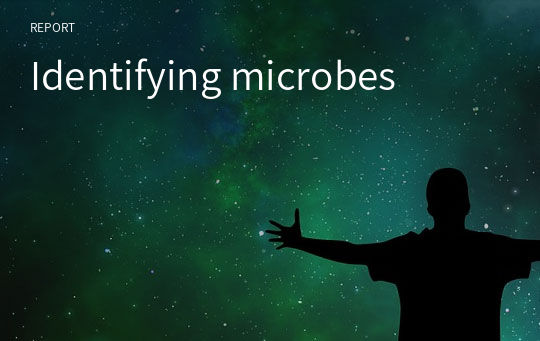 Identifying microbes