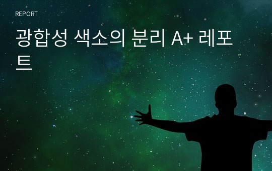 광합성 색소의 분리 A+ 레포트