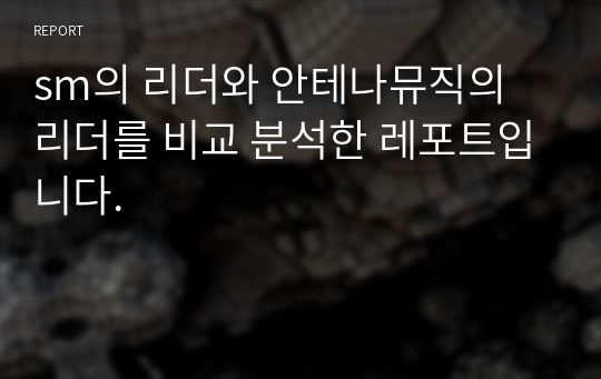 sm의 리더와 안테나뮤직의 리더를 비교 분석한 레포트입니다.