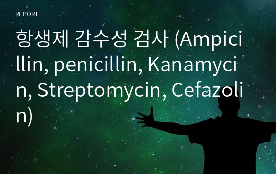 항생제 감수성 검사 (Ampicillin, penicillin, Kanamycin, Streptomycin, Cefazolin)