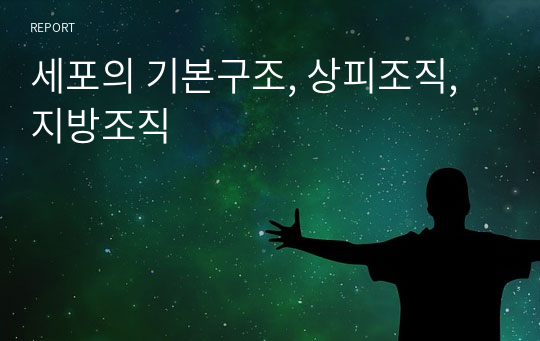 세포의 기본구조, 상피조직, 지방조직