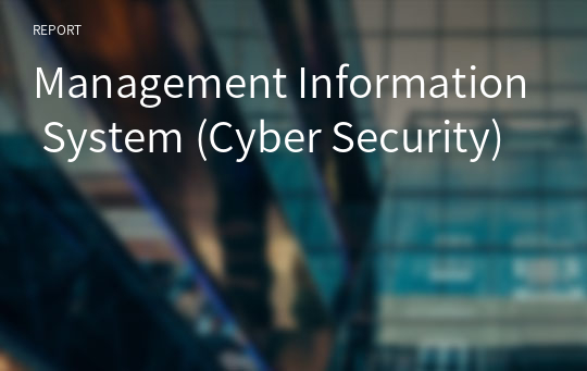 Management Information System (Cyber Security)