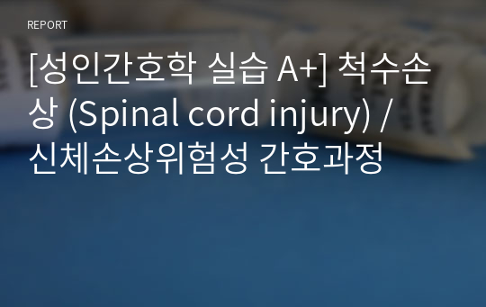 [성인간호학 실습 A+] 척수손상 (Spinal cord injury) / 신체손상위험성 간호과정