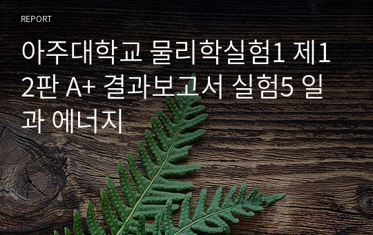 아주대학교 물리학실험1 제12판 A+ 결과보고서 실험5 일과 에너지