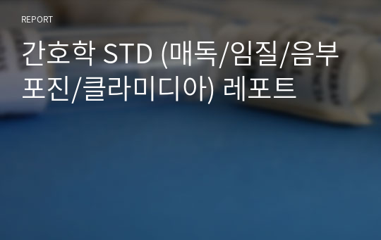 간호학 STD (매독/임질/음부포진/클라미디아) 레포트