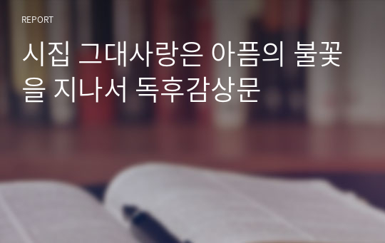 시집 그대사랑은 아픔의 불꽃을 지나서 독후감상문