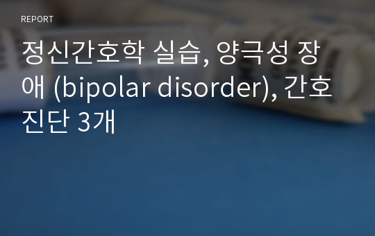 정신간호학 실습, 양극성 장애 (bipolar disorder), 간호진단 3개