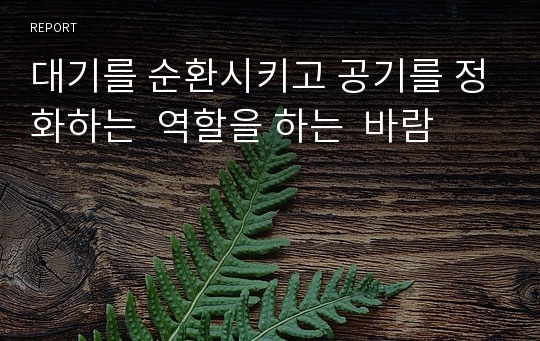 대기를 순환시키고 공기를 정화하는  역할을 하는  바람