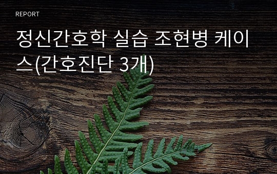 정신간호학 실습 조현병 케이스(간호진단 3개)