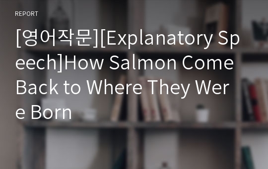 [영어작문][Explanatory Speech]How Salmon Come Back to Where They Were Born