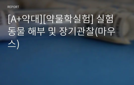 [A+약대][약물학실험] 실험 동물 해부 및 장기관찰(마우스)