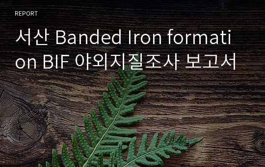 서산 Banded Iron formation BIF 야외지질조사 보고서