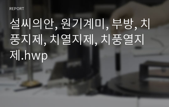 설씨의안, 원기계미, 부방, 치풍지제, 치열지제, 치풍열지제.hwp