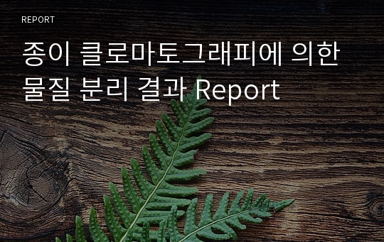 종이 클로마토그래피에 의한 물질 분리 결과 Report