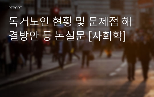 독거노인 현황 및 문제점 해결방안 등 논설문 [사회학]