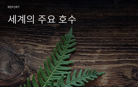 세계의 주요 호수