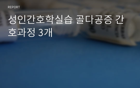 성인간호학실습 골다공증 간호과정 3개