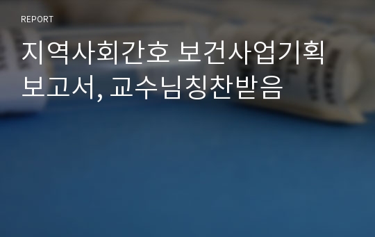 지역사회간호 보건사업기획보고서, 교수님칭찬받음