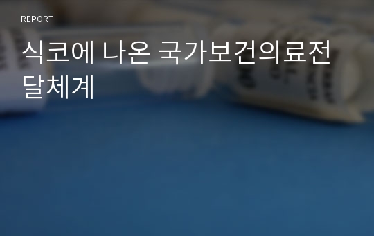 식코에 나온 국가보건의료전달체계