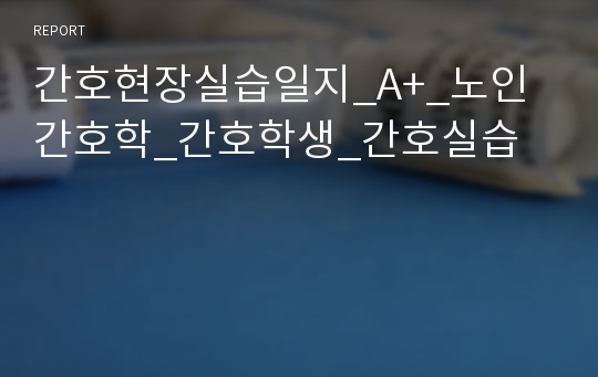 간호현장실습일지_A+_노인간호학_간호학생_간호실습