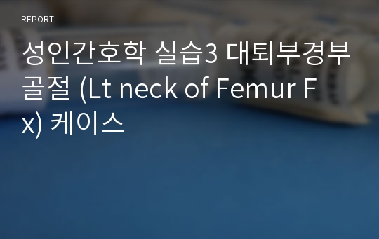 성인간호학 실습3 대퇴부경부골절 (Lt neck of Femur Fx) 케이스