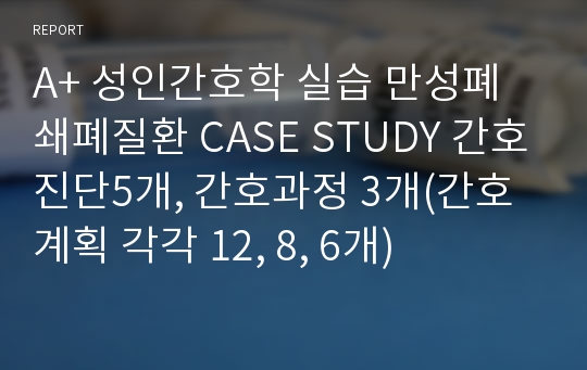 A+ 성인간호학 실습 만성폐쇄폐질환 CASE STUDY 간호진단5개, 간호과정 3개(간호계획 각각 12, 8, 6개)