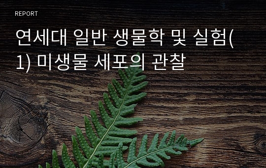 연세대 일반 생물학 및 실험(1) 미생물 세포의 관찰