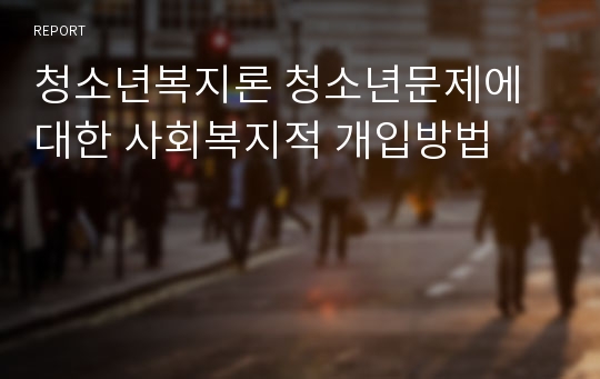 청소년복지론 청소년문제에 대한 사회복지적 개입방법