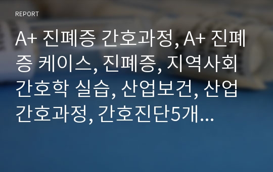 A+ 진폐증 간호과정, A+ 진폐증 케이스, 진폐증, 지역사회간호학 실습, 산업보건, 산업간호과정, 간호진단5개 간호과정1개, 사례연구