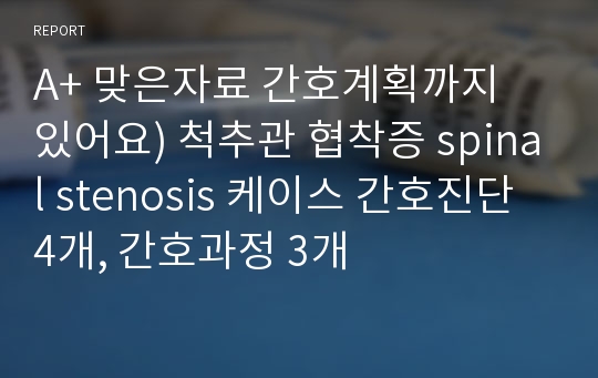 A+ 맞은자료 간호계획까지 있어요) 척추관 협착증 spinal stenosis 케이스 간호진단 4개, 간호과정 3개