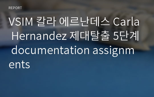 VSIM 칼라 에르난데스 Carla Hernandez 제대탈출 5단계 documentation assignments