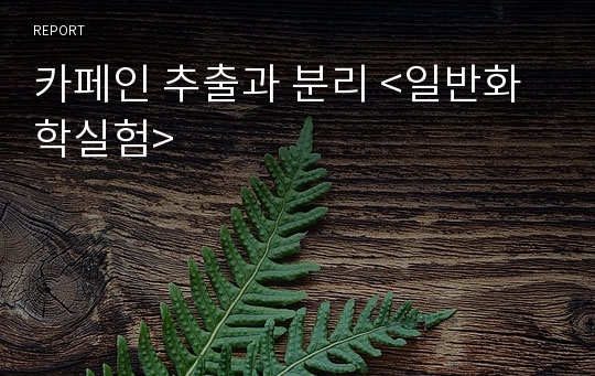 카페인 추출과 분리 &lt;일반화학실험&gt;