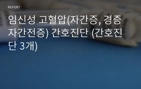 임신성 고혈압(자간증, 경증 자간전증) 간호진단 (간호진단 3개)