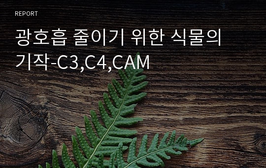 광호흡 줄이기 위한 식물의 기작-C3,C4,CAM