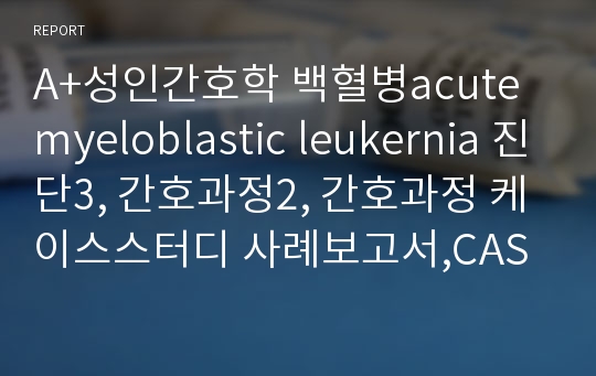 A+성인간호학 백혈병acute myeloblastic leukernia 진단3, 간호과정2, 간호과정 케이스스터디 사례보고서,CASE