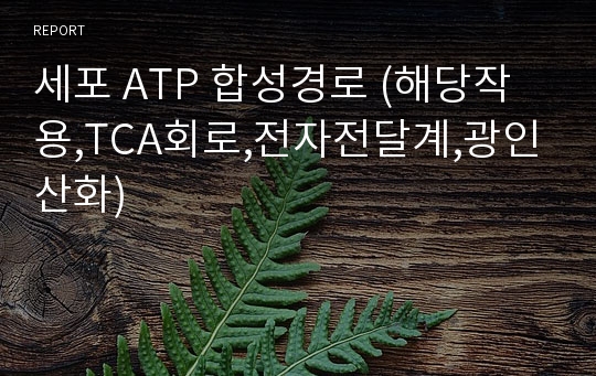 세포 ATP 합성경로 (해당작용,TCA회로,전자전달계,광인산화)