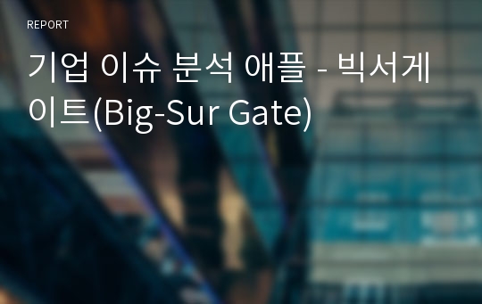 기업 이슈 분석 애플 - 빅서게이트(Big-Sur Gate)