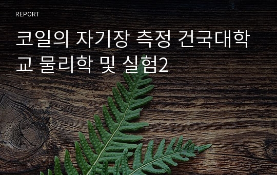 코일의 자기장 측정 건국대학교 물리학 및 실험2