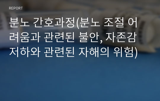 분노 간호과정(분노 조절 어려움과 관련된 불안, 자존감 저하와 관련된 자해의 위험)