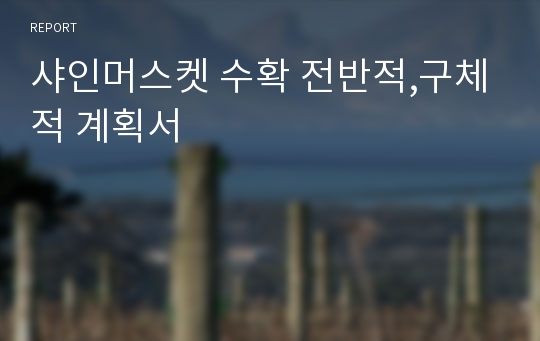 샤인머스켓 수확 전반적,구체적 계획서