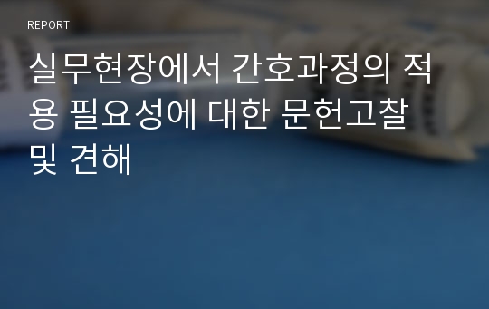 실무현장에서 간호과정의 적용 필요성에 대한 문헌고찰 및 견해