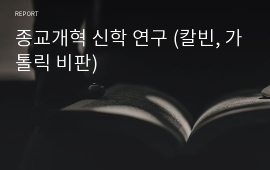 종교개혁 신학 연구 (칼빈, 가톨릭 비판)