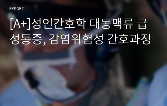 [A+]성인간호학 대동맥류 급성통증, 감염위험성 간호과정